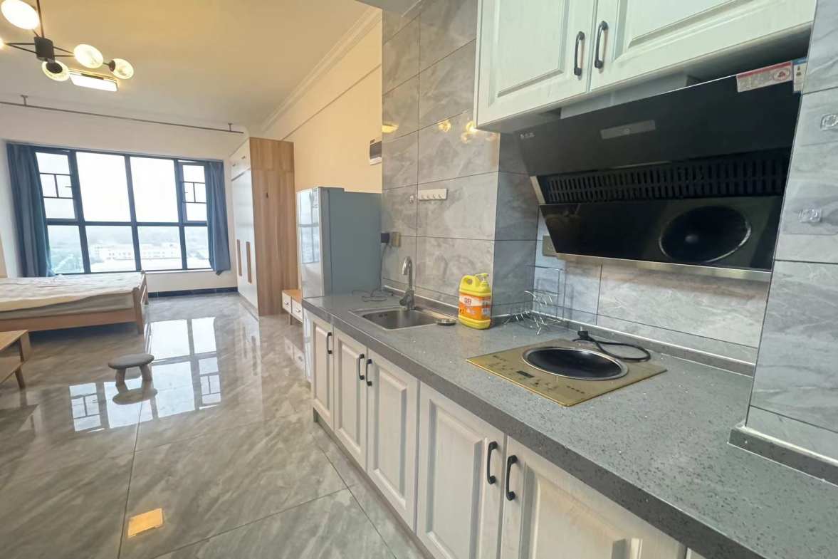 中南国际眼镜城（中伟商业中心）  1室1厅1卫    1500.0元/月户型图