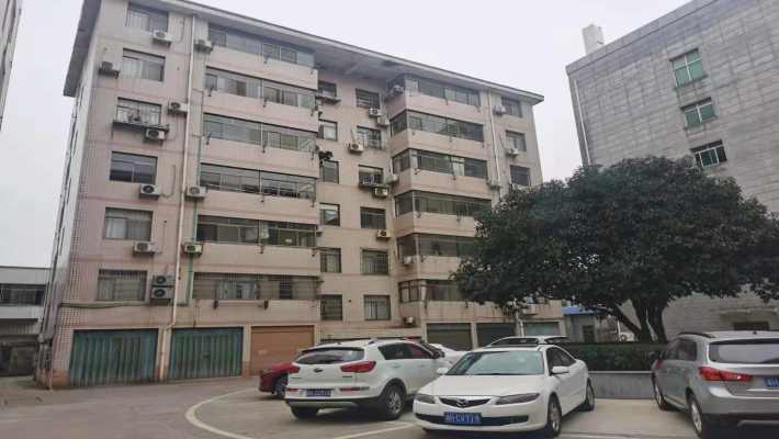 赫山税务局家属楼室内图2