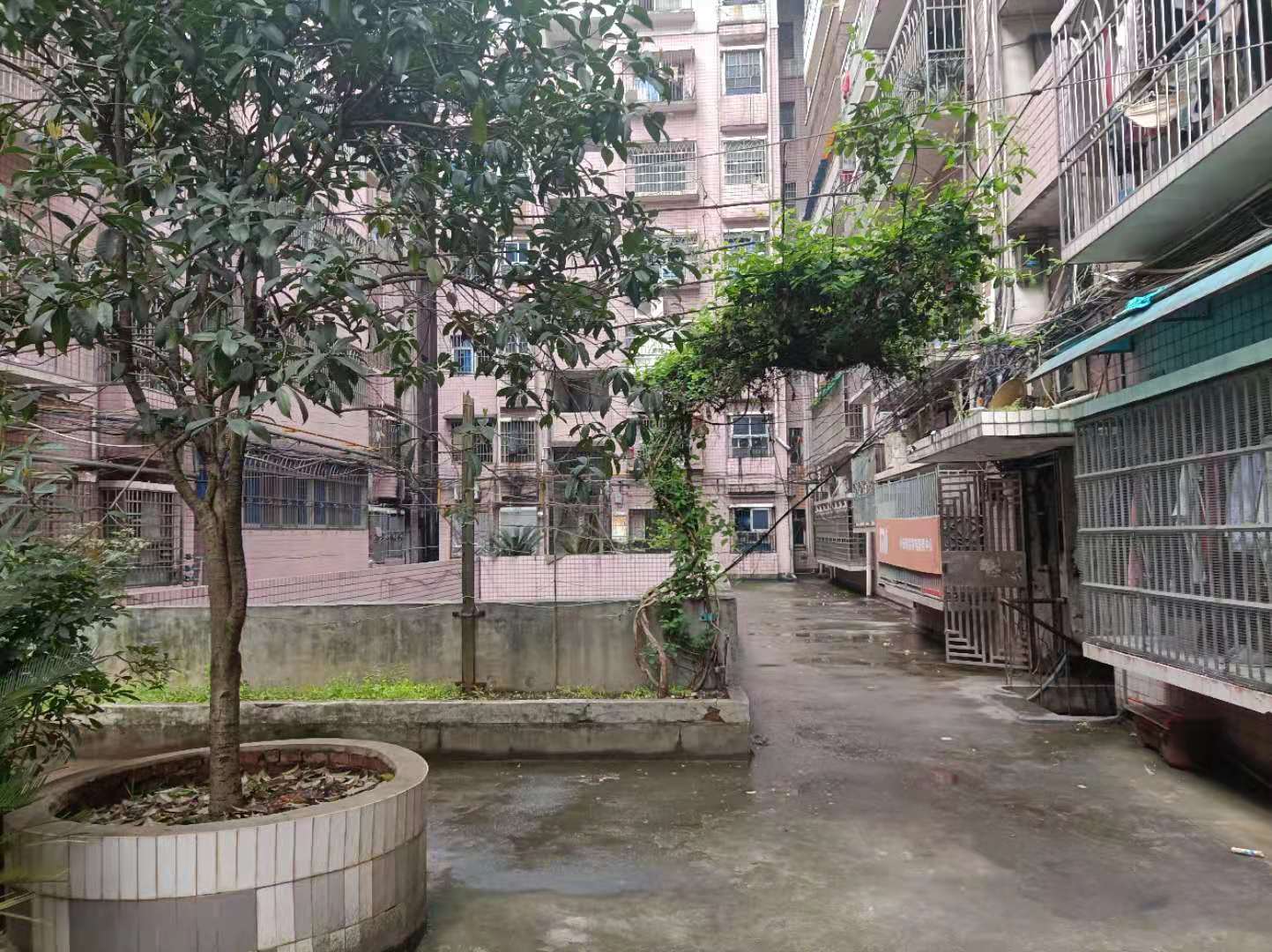 石鼓区向阳路北区大市场