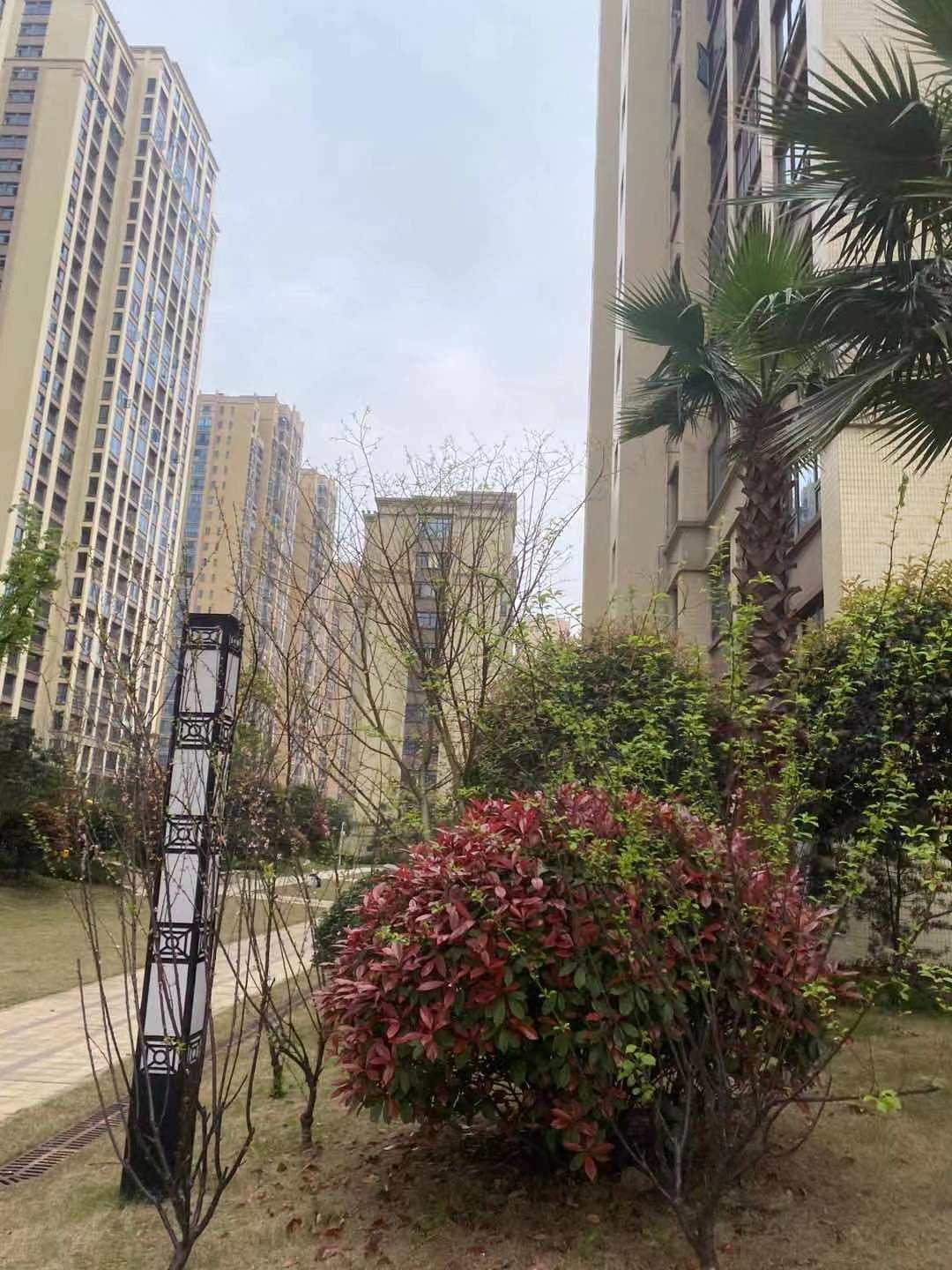 万恒白金汉宫  3室2厅2卫   55.00万小区图