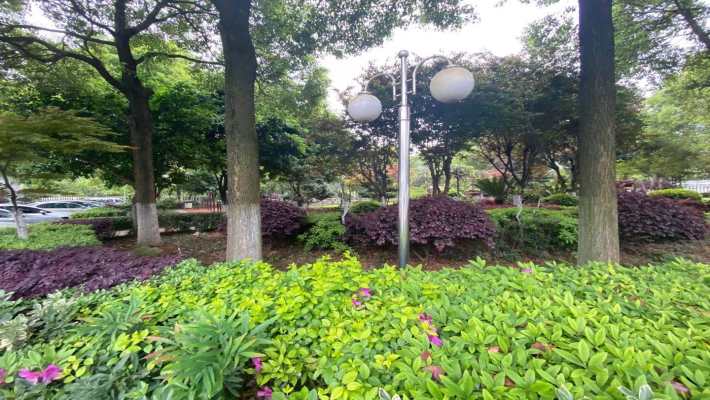 先福村住宅楼（移动公司宿舍）室内图2