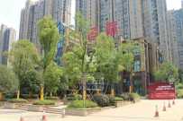 中海国际二期  1室1厅1卫    1200.0元/月 中海国际二期  1室1厅1卫    1200.0元/月