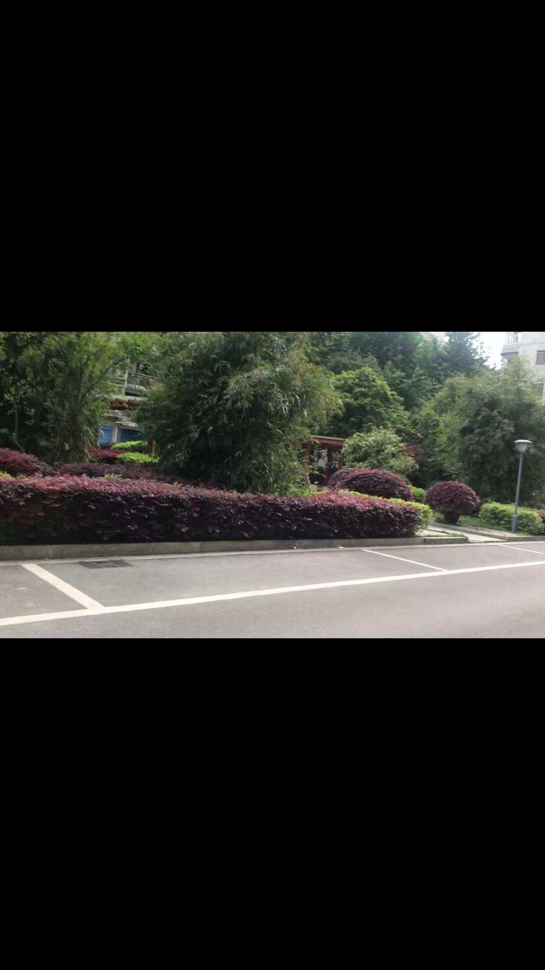 娄星市审计局家属楼  4室2厅-1卫    130.0万小区图