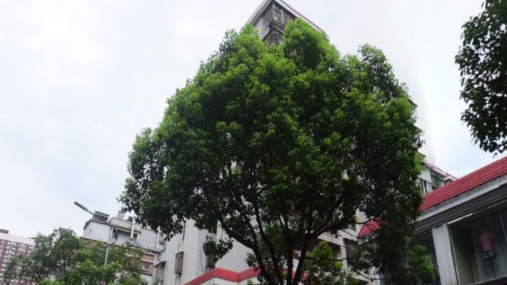湖南省公安边防总队家属院室内图2