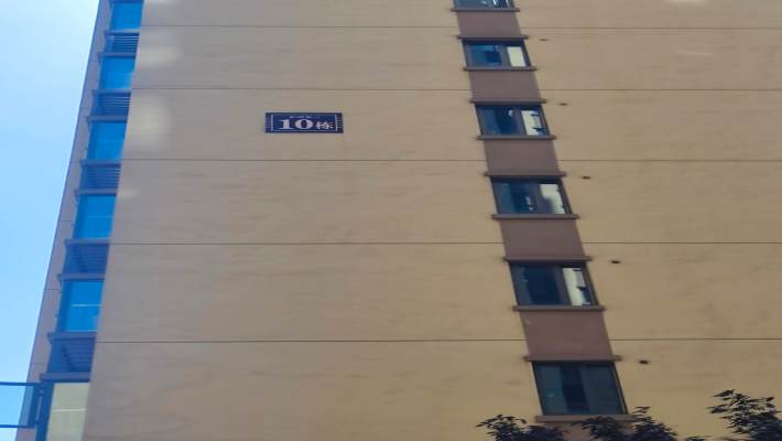 和润园三期室内图2