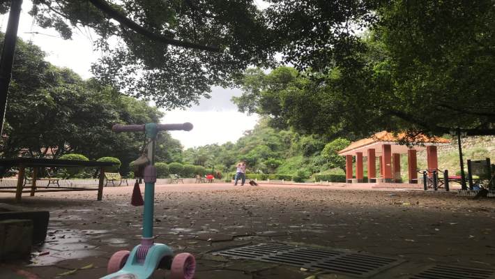 卓雅花园一期室内图2