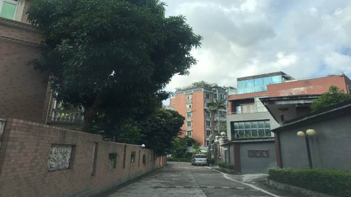 龙安苑室内图2
