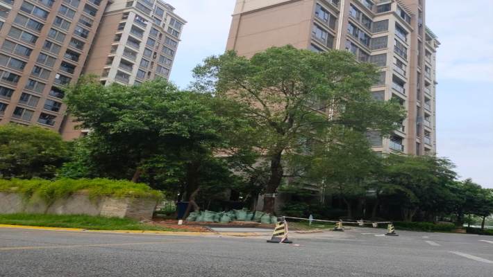 桔子郡室内图1