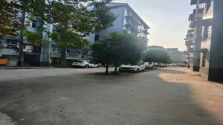 司法局（漳江小学旁）室内图1