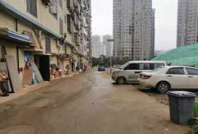 早元市场独栋   160.0㎡      7000.0元/月