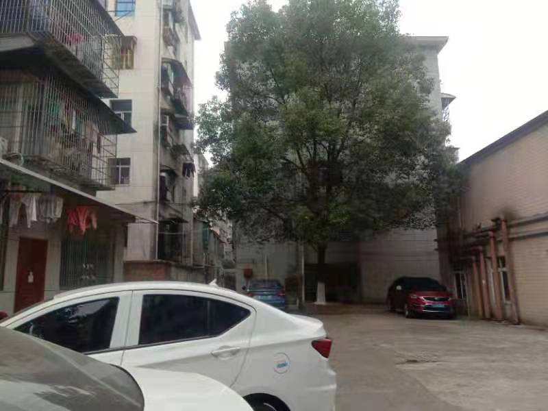 老财政局宿舍 3室2厅1卫 38.8万 老财政局宿舍 3室2厅1卫 38.8万小区图