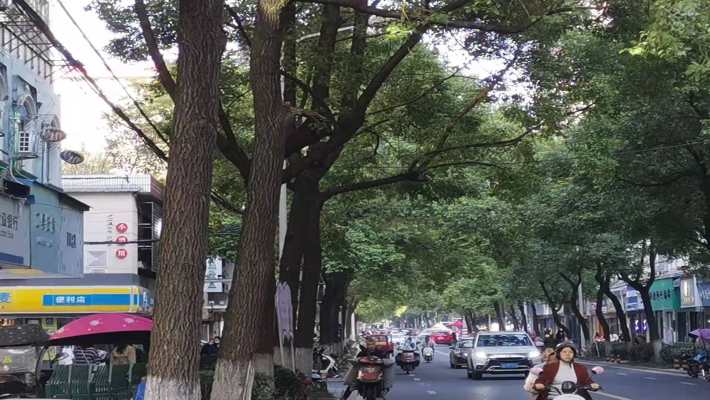 南华大学南校北门家属区室内图2