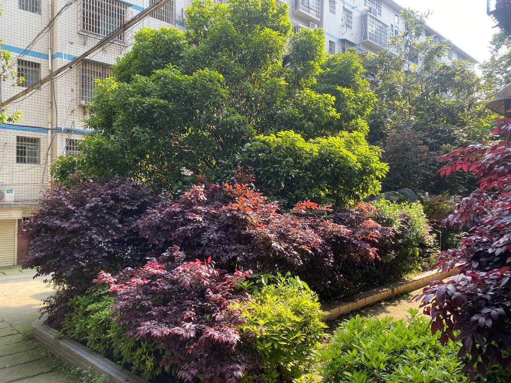 市农机局家属楼  3室2厅1卫    39.8万小区图