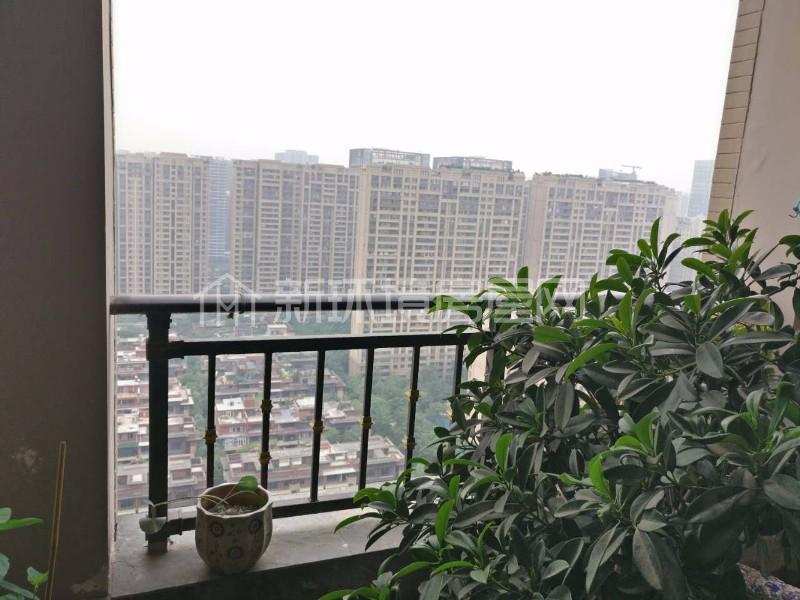 成都天府世家  5室2厅1卫    8000.0元/月室内图