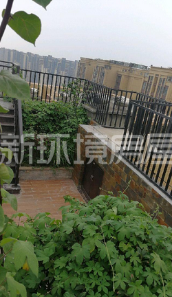 保利百合花园  5室2厅3卫    400.0万户型图