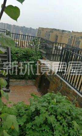 保利百合花园  5室2厅3卫    400.0万客厅