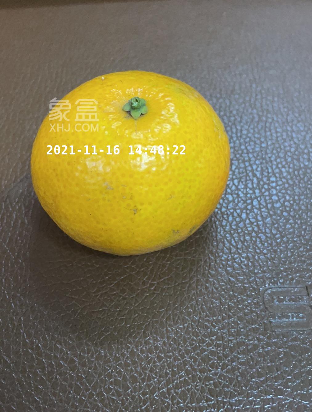花散里测试小区1  1室1厅1卫   1750.00元/月