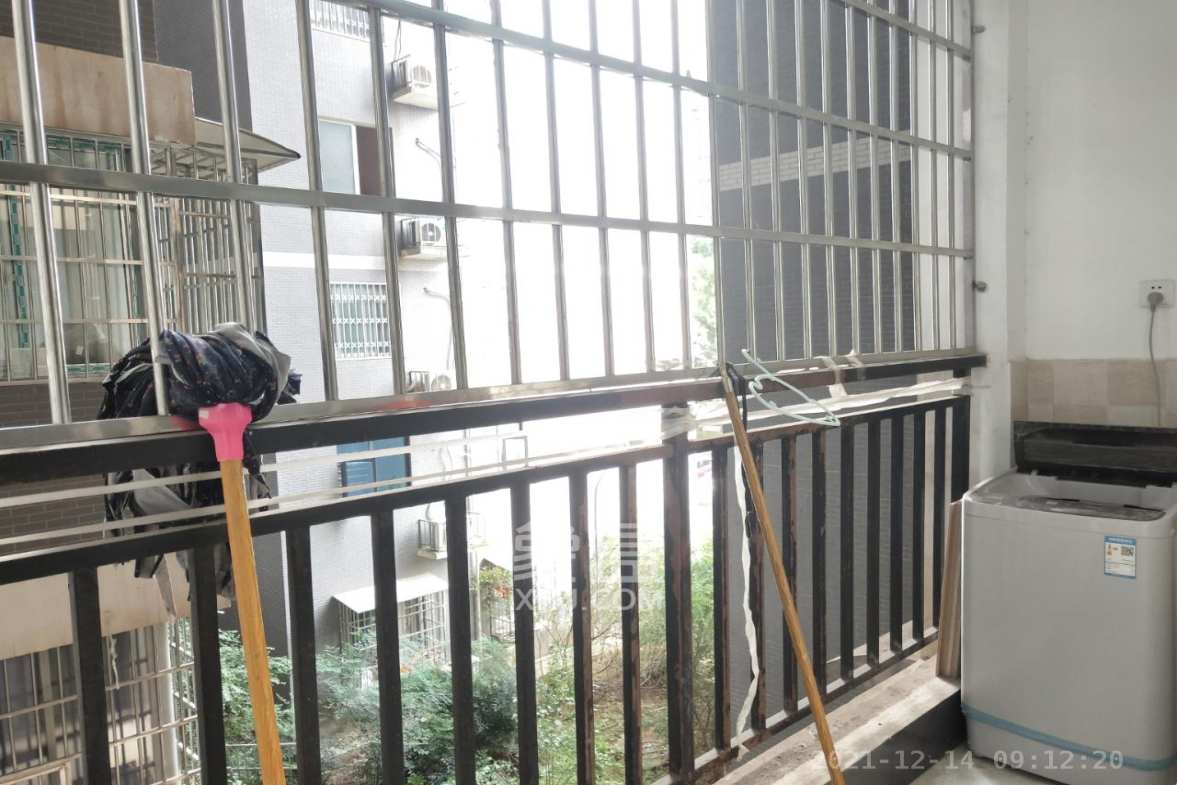白沙湾嘉园  1室1厅1卫    900.0元/月室内图