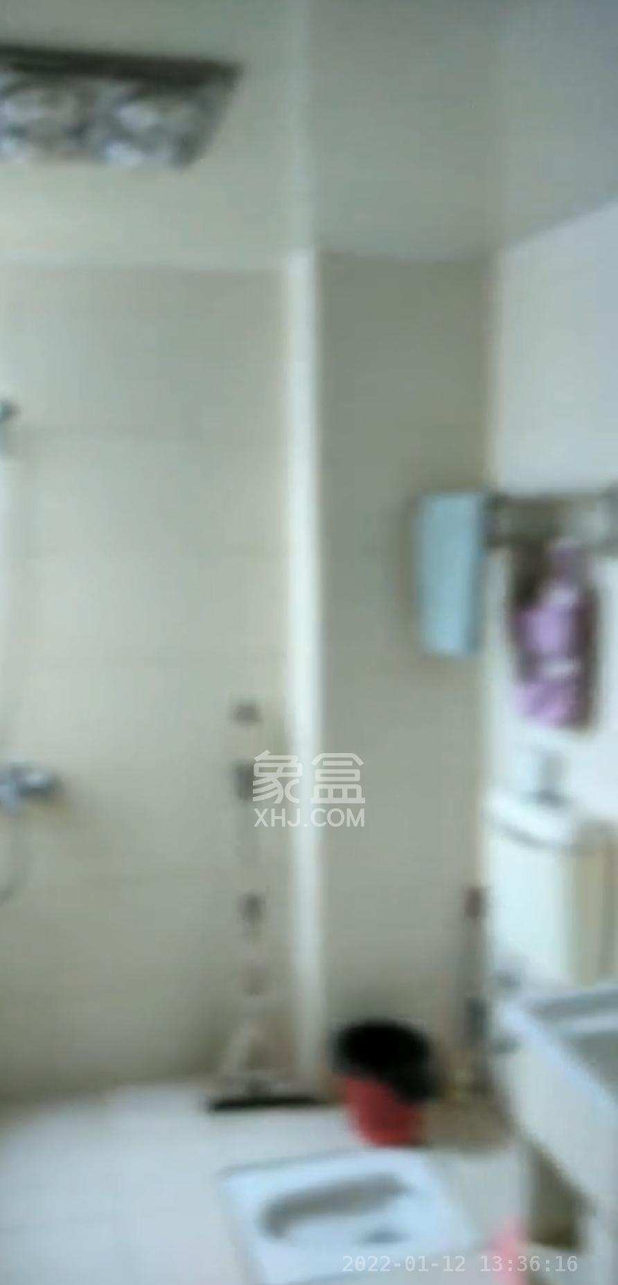 金领家族  2室1厅1卫    2200.0元/月室内图