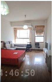 东都大酒店(东都大厦) 1室1厅1卫 1000.00元/月 东都大酒店(东都大厦) 1室1厅1卫 1000.00元/月室内图