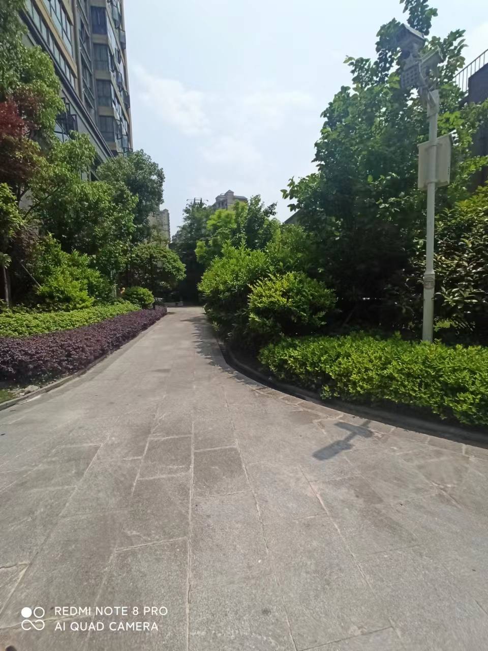 碧桂园朗州府  0室0厅0卫   185.00万小区图