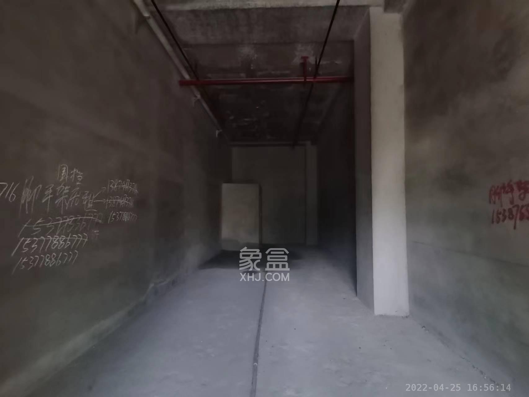 中建芙蓉嘉苑   54.06㎡      3900.0元/月