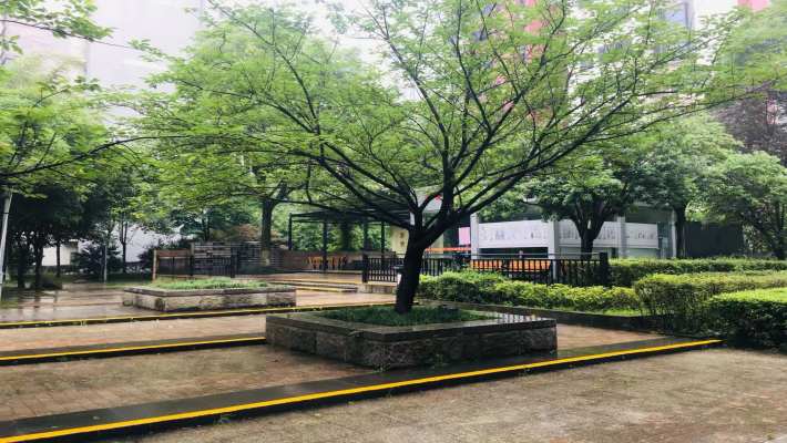 珠江花城二期扶水岸室内图2