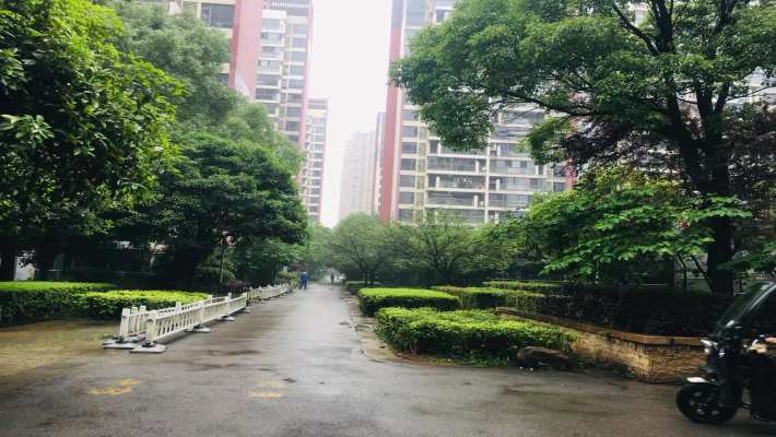 珠江花城二期扶水岸室内图2