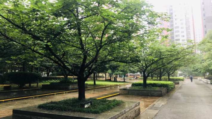 珠江花城二期扶水岸室内图2