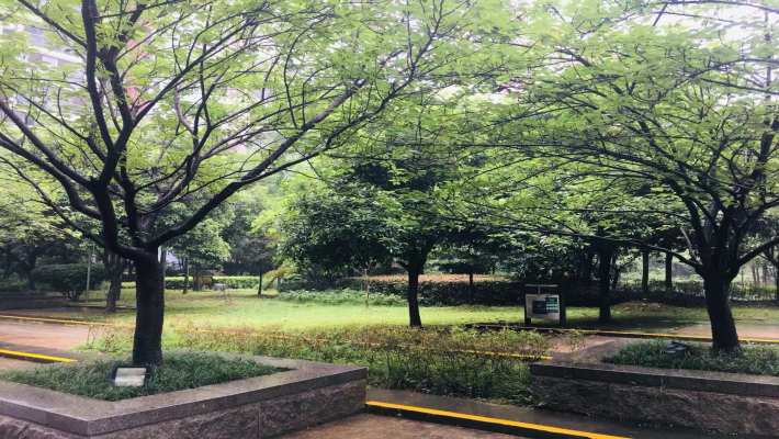 珠江花城二期扶水岸室内图2