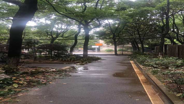 湖南石油化学工业局小区室内图2