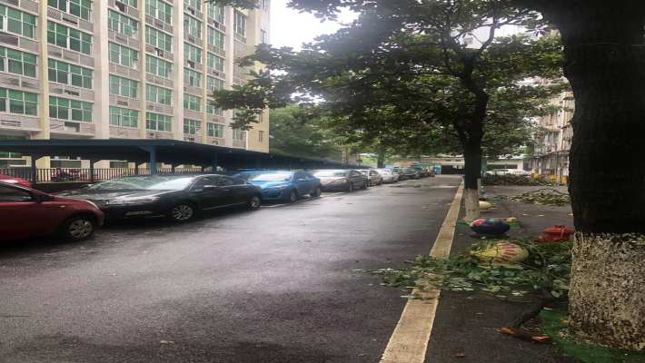 湖南石油化学工业局小区室内图2