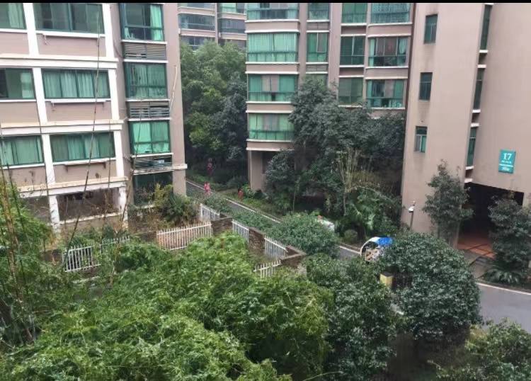 沐林美郡  3室2厅2卫   2000.00元/月室内图