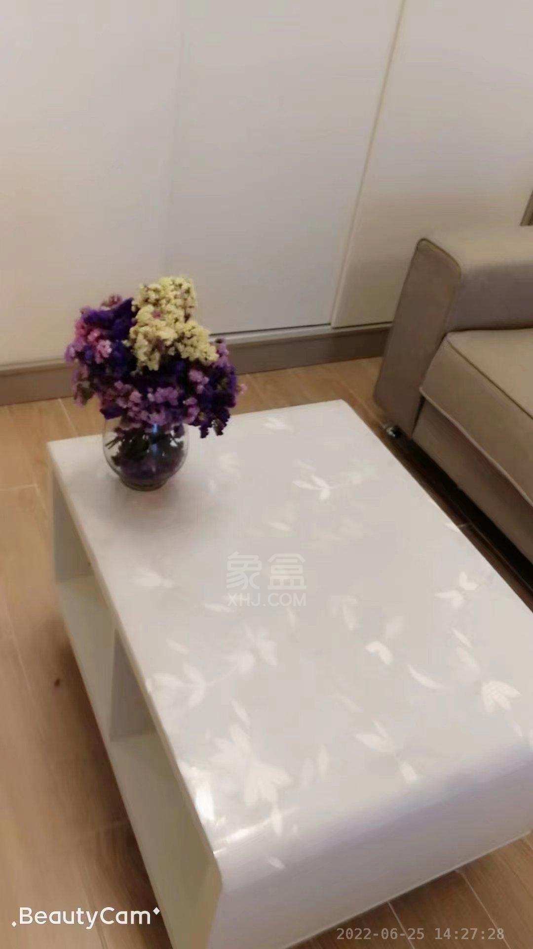 中泰财富湘江  1室1厅1卫   1700.00元/月室内图