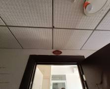 百弘学府城  2室1厅1卫    1100.0元/月