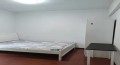 中天会展城B区  3室2厅1卫   3000.00元/月