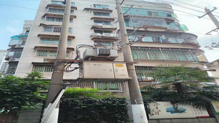 小瀛洲13号小区室内图1