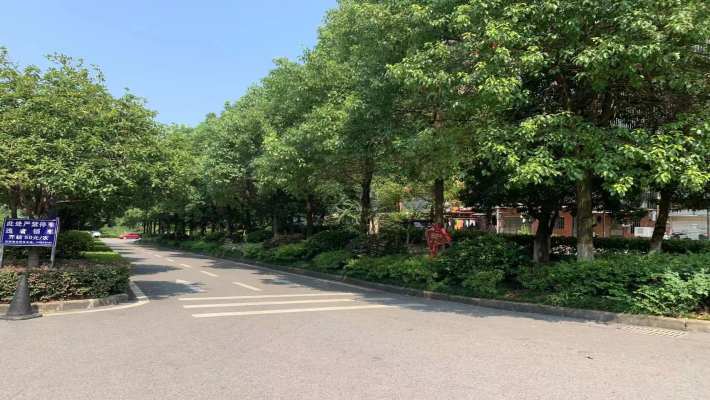 九峰安置小区室内图2