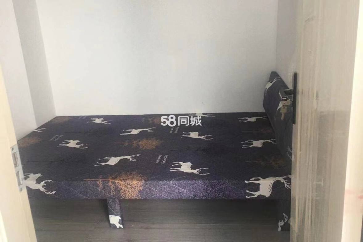 新九龙环球商业广场  2室1厅1卫    1400.0元/月室内图