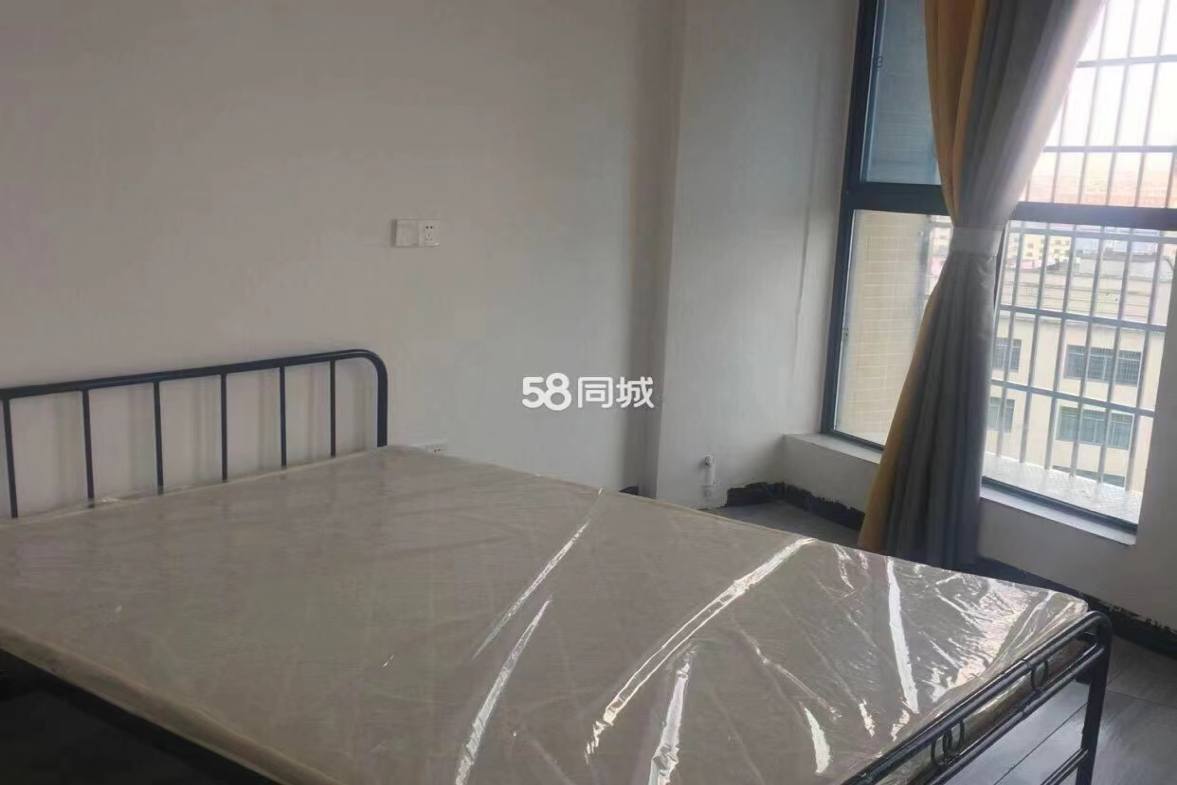 新九龙环球商业广场  2室1厅1卫    1400.0元/月室内图