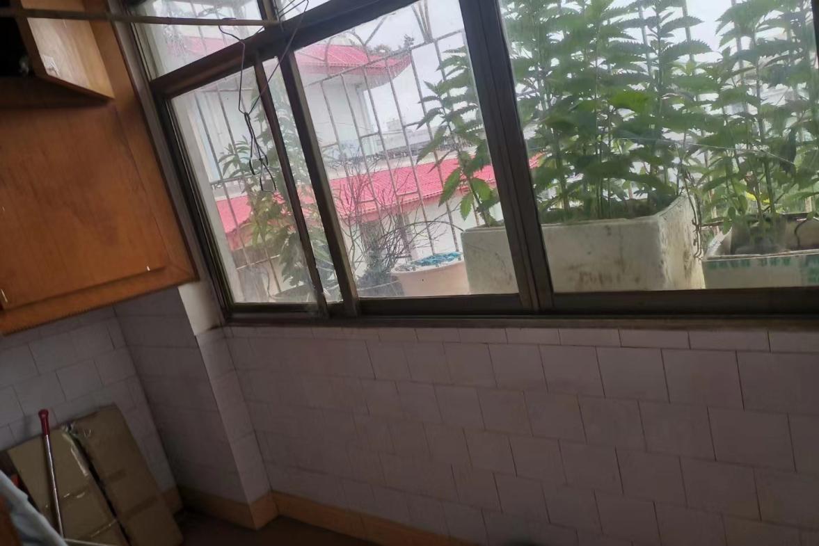 中欧阳光城 3室2厅1卫 450.0元/月 中欧阳光城 3室2厅1卫 450.0元/月室内图