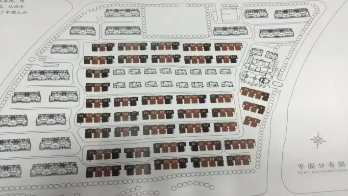 中建大公馆室内图2