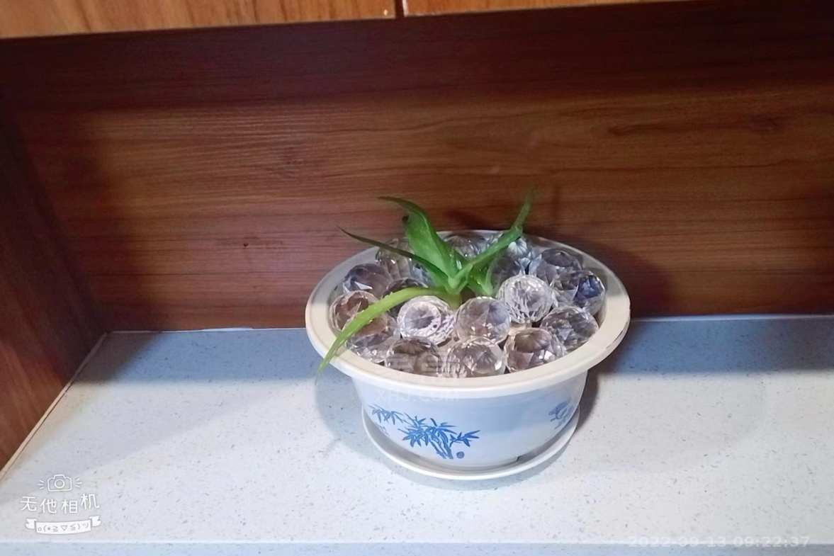 天赐万象汇  1室1厅1卫    1400.0元/月室内图