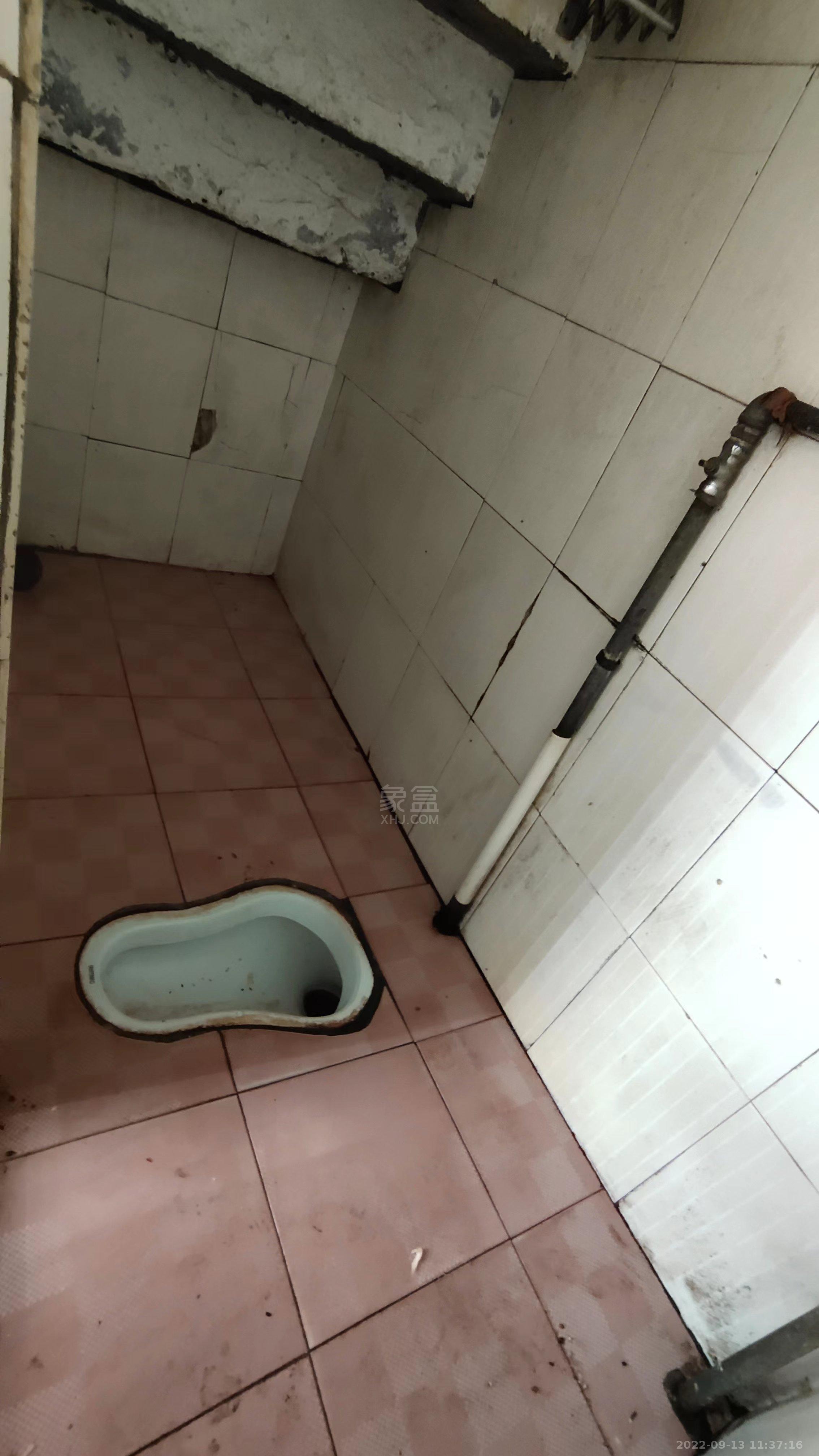 建设北路散盘   66.0㎡      3300.0元/月