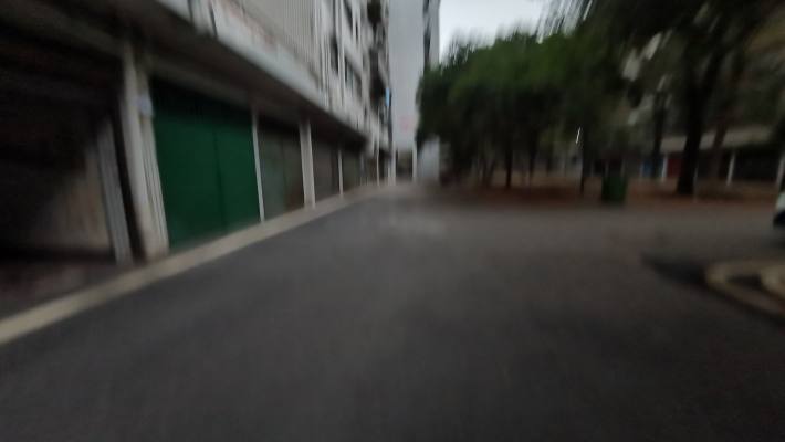 金叶苑室内图2
