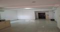 建鑫二期   58.0㎡     800.00元/月