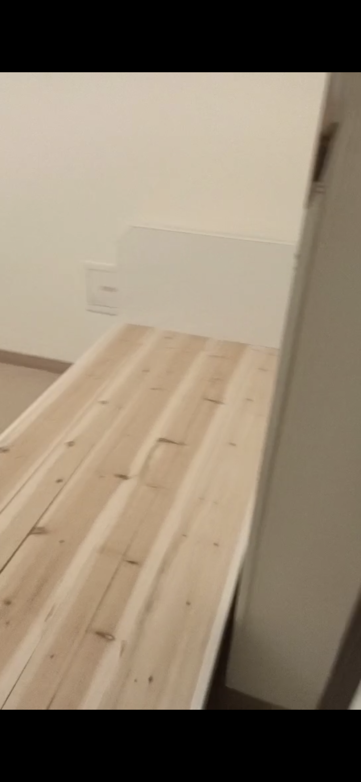 碧桂园翘楚棠  1室1厅1卫   1280.00元/月室内图