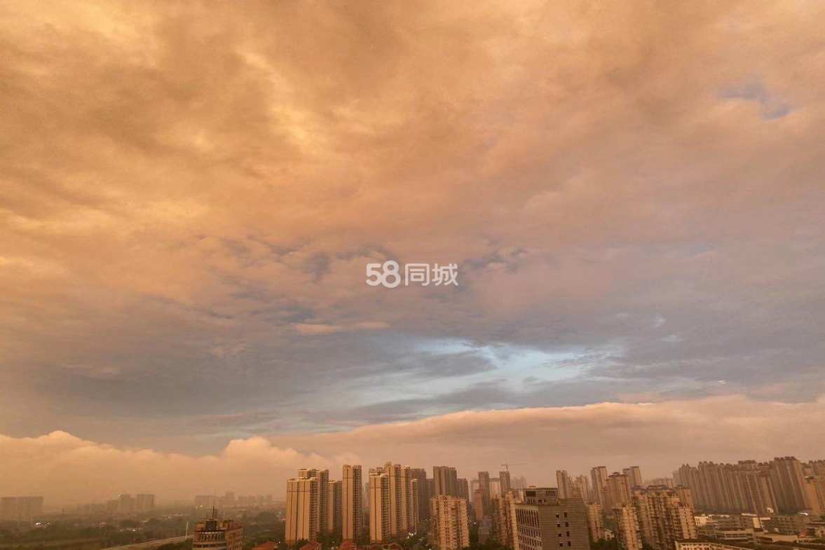 天润广场  1室1厅1卫   1600.00元/月室内图