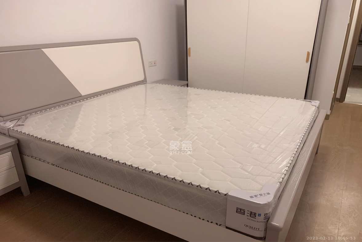 龙湖铂金中心（龙湖春江郦城）  3室2厅2卫    4000.0元/月室内图