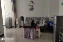 百弘学府城  0室0厅1卫   1500.00元/月